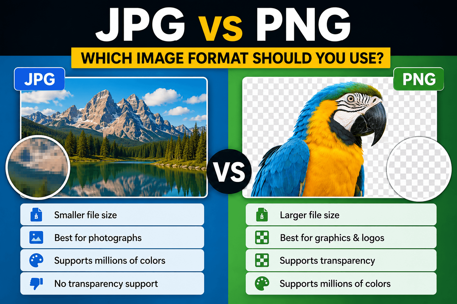 JPG vs PNG: Which Image Format Should You Use?